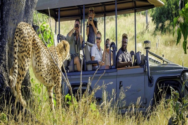 Taga Safaris