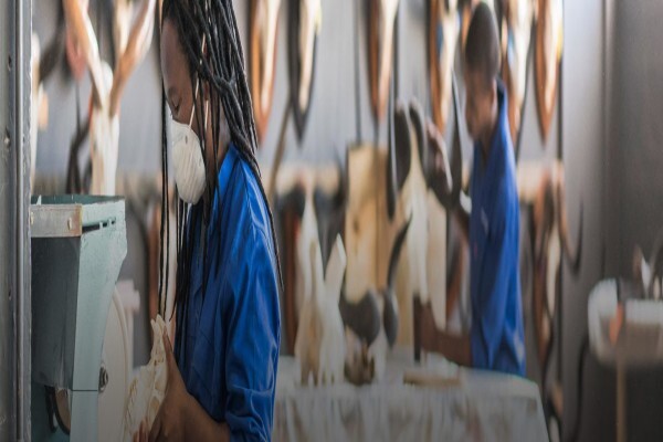 Splitting Image Taxidermy