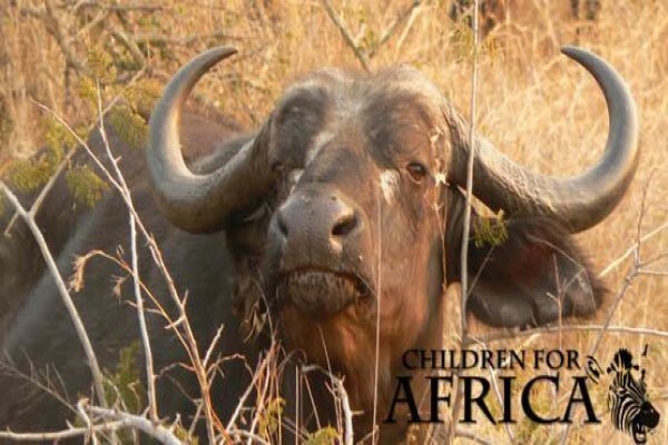 Children For Africa