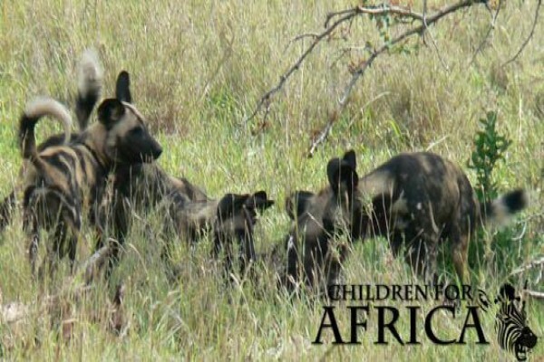 Children For Africa