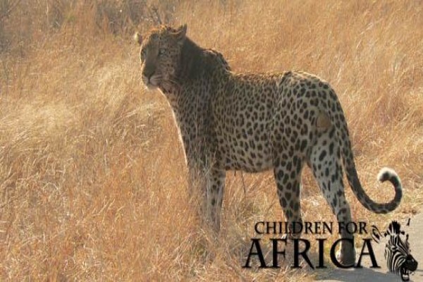Children For Africa
