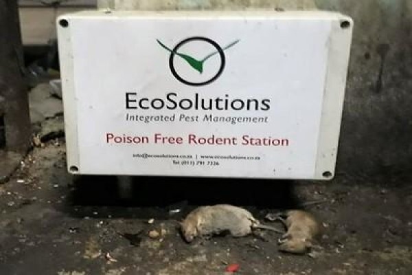 Ecosolutions