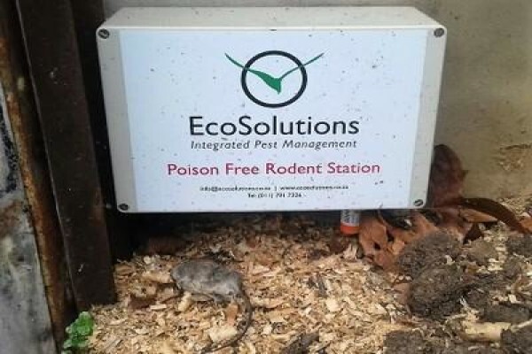 Ecosolutions