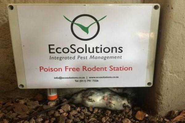 Ecosolutions