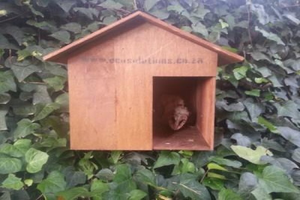 Ecosolutions