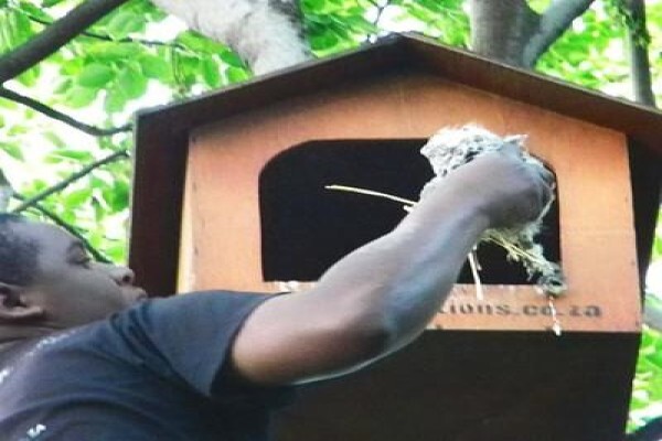 Ecosolutions