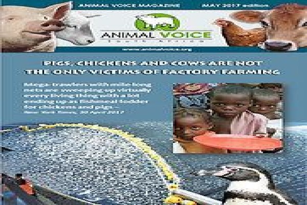 Humane Education