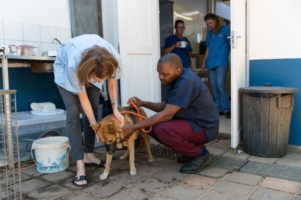 Kloof Spca