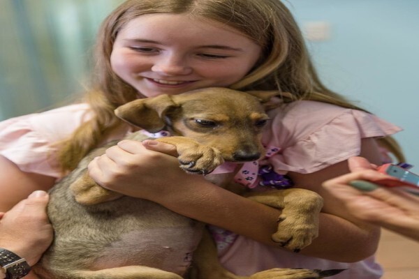 Kloof Spca
