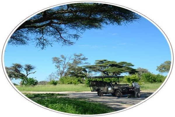 Mal D'Africa
