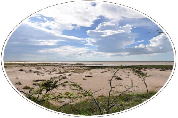 Mal D'Africa