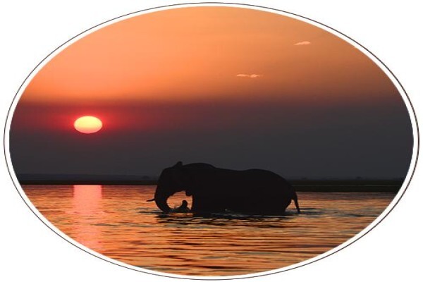 Mal D'Africa