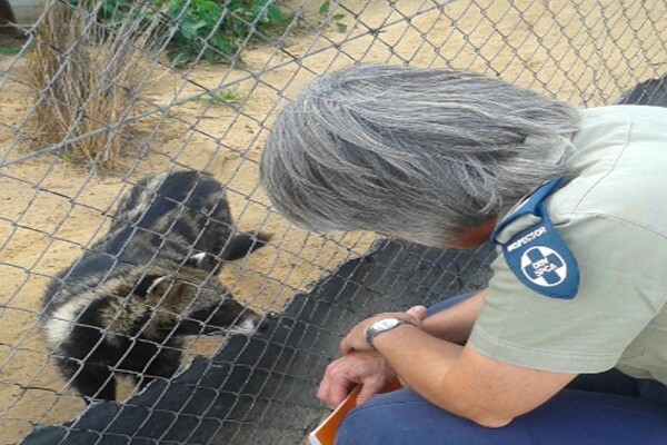 Nspca