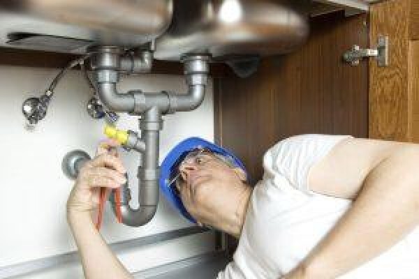 South African Veterinary Council