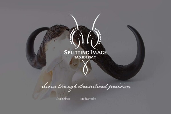 Splitting Image Taxidermy
