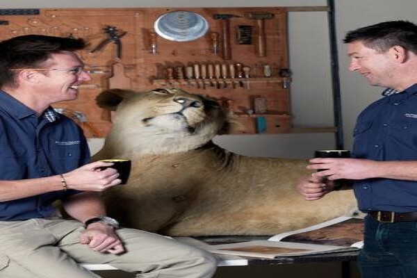 Splitting Image Taxidermy