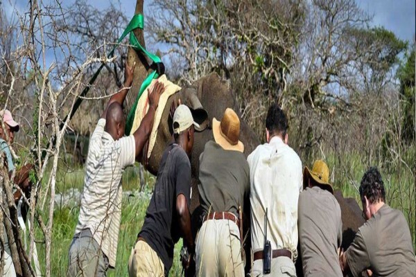 Wildlife Act