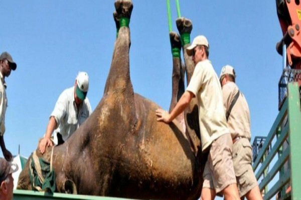 Wildlife Act