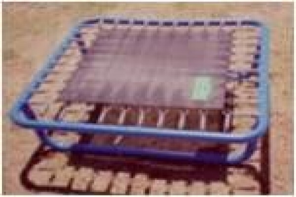 Trampoline