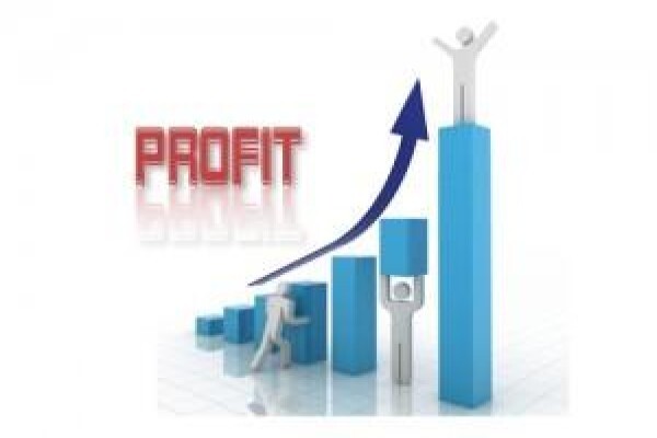 My Biz Performs