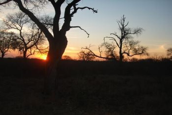 Wanyana Projects