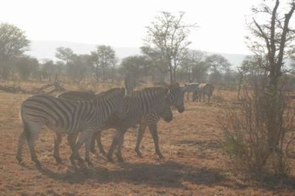 Wanyana Projects