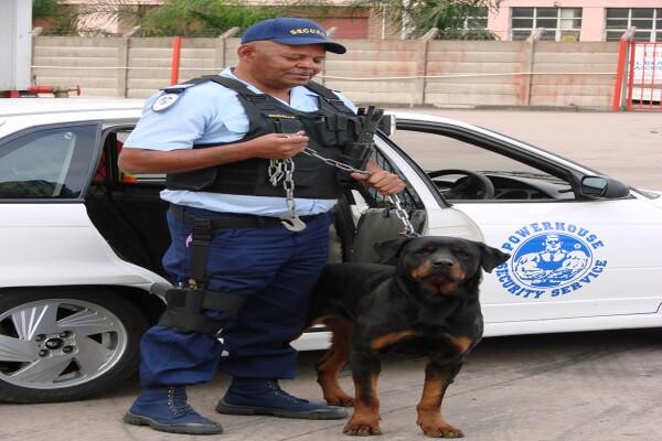 Powerhouse Security Services