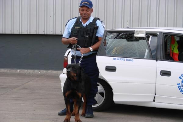Powerhouse Security Services