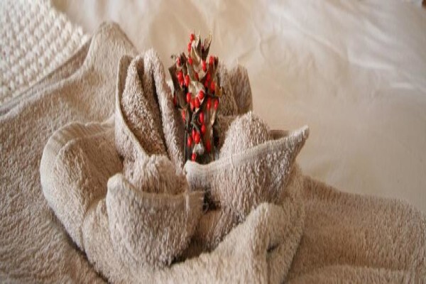 Cavelli Linen
