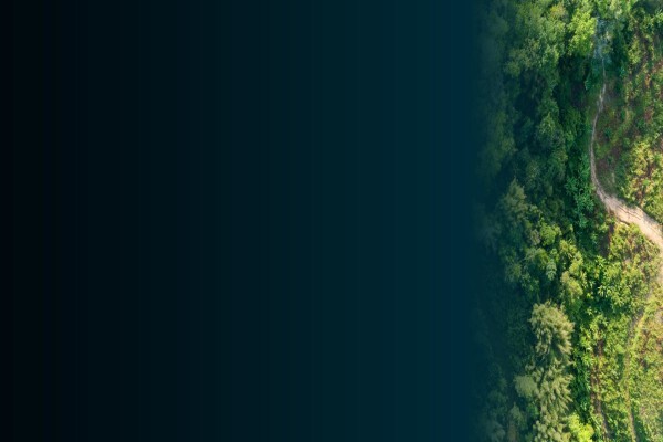Environmental Mapping & Surveying