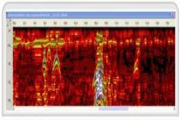 Global Geophysical