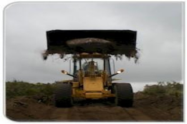 Open Ground