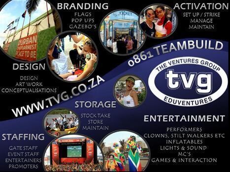 The Ventures Group Profile