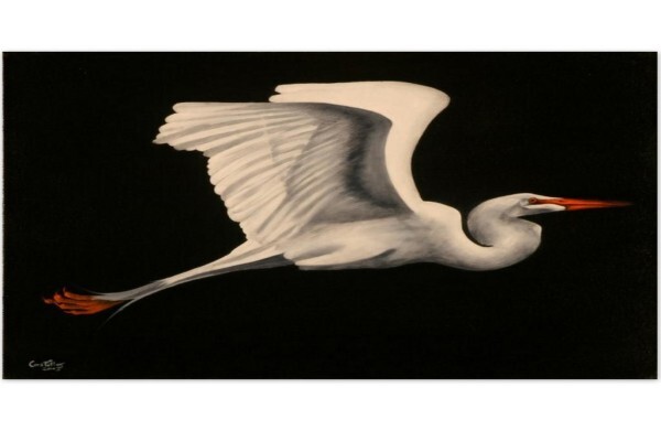 Henry Taylor Gallery