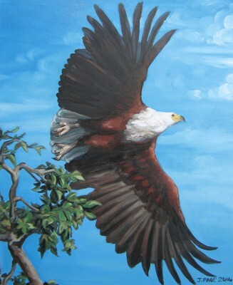 Wildlife And Landscape Artist - Janet Page