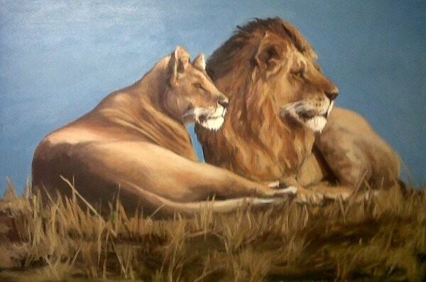 Wildlife And Landscape Artist - Janet Page