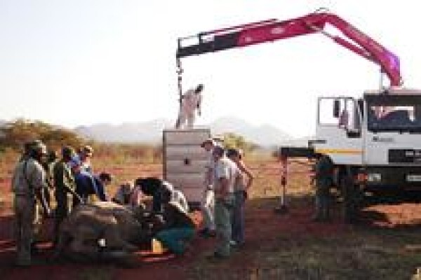 African Son Wildlife Services