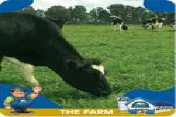 Douglasdale Dairy