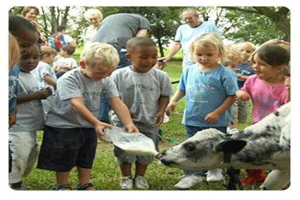 Douglasdale Dairy