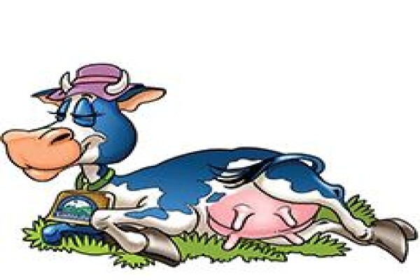 Douglasdale Dairy