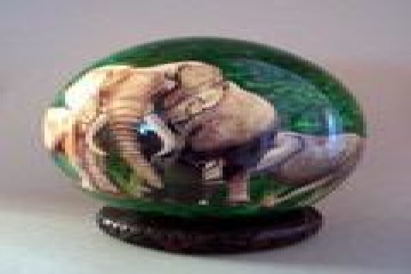 Eggshell Promotions