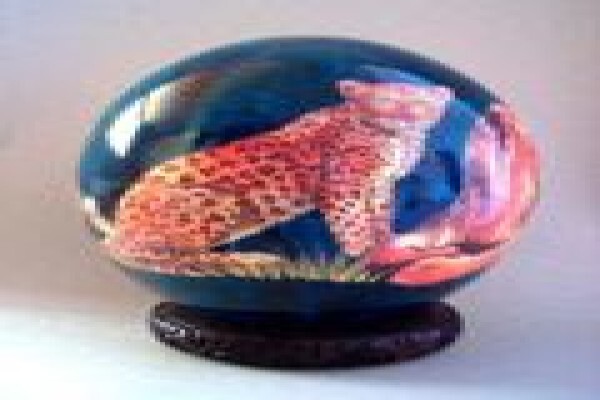 Eggshell Promotions