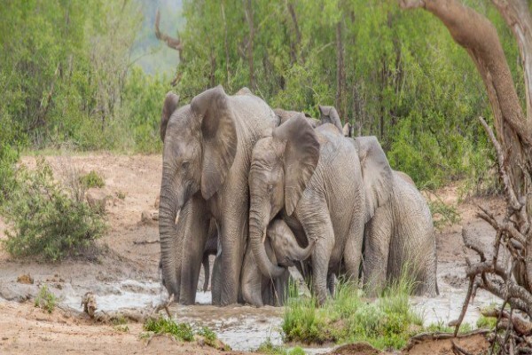 Moratiwa Tours