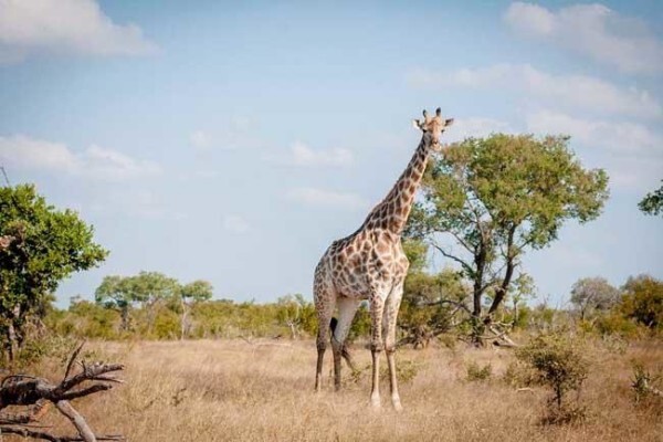 Moratiwa Tours