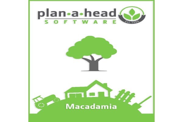 Plan-A-Head