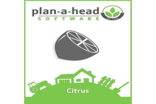 Plan-A-Head