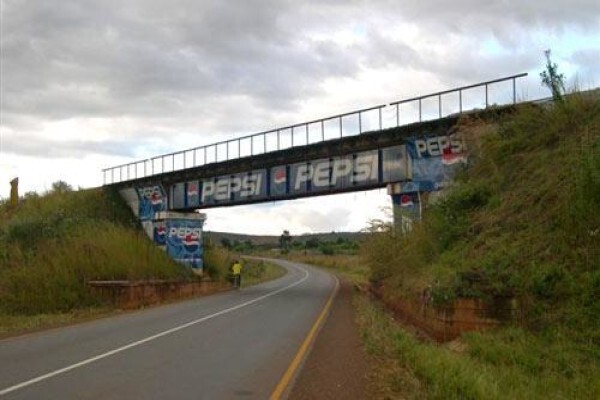 Unidel