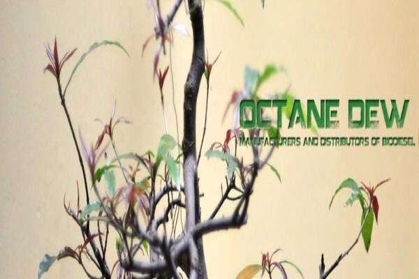 Octane Dew