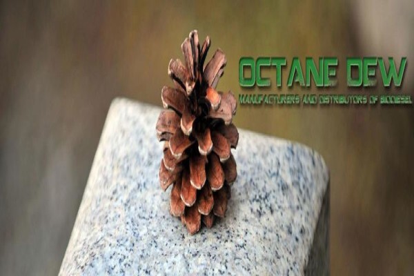 Octane Dew