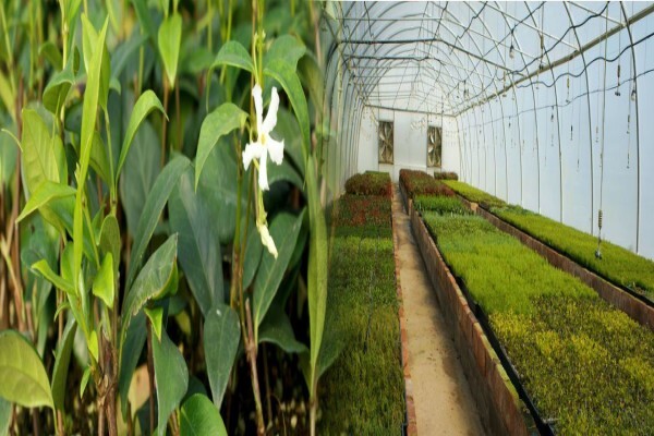 Samgro Wholesale Nursery